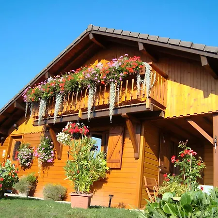 Guest house Serenite